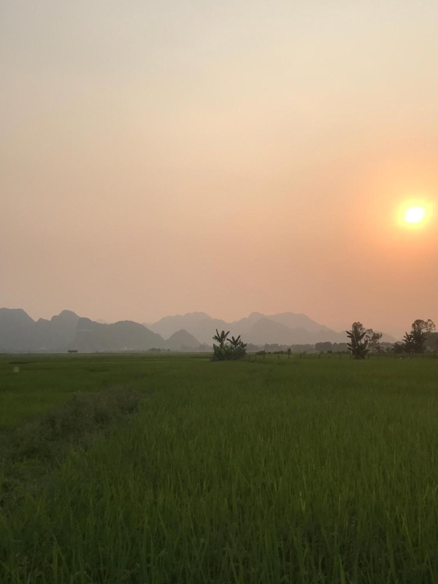 Happy Field Homestay Phong Nha Buitenkant foto